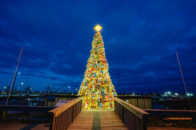 15 Merry Things to do in Nova Scotia at Christmas