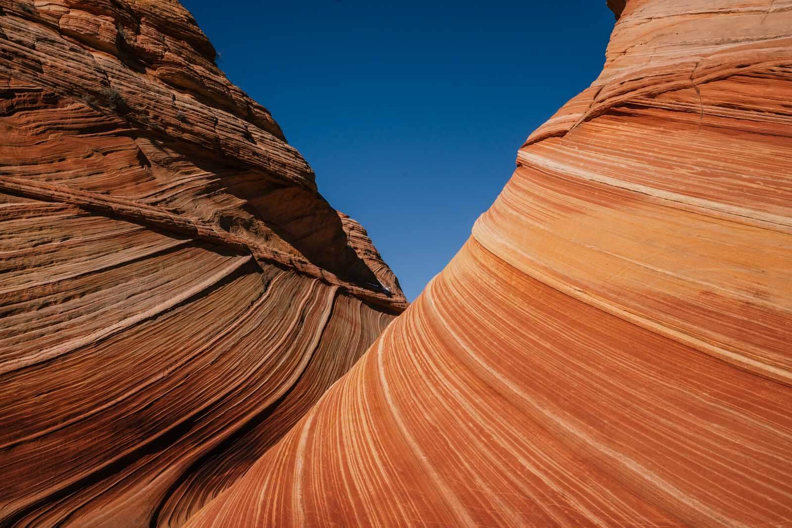 The Wave in Coyote Buttes North