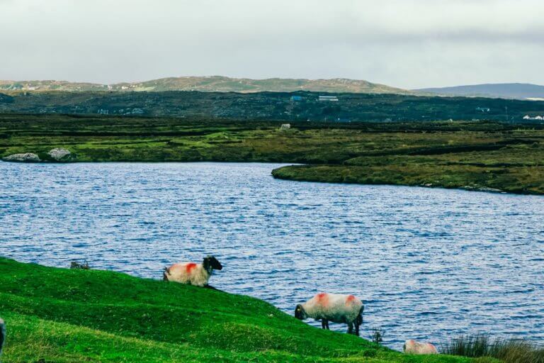 5 Incredible Things to Do in Connemara, Ireland