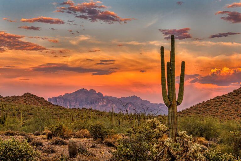 Perfect 3 Days in Phoenix Itinerary
